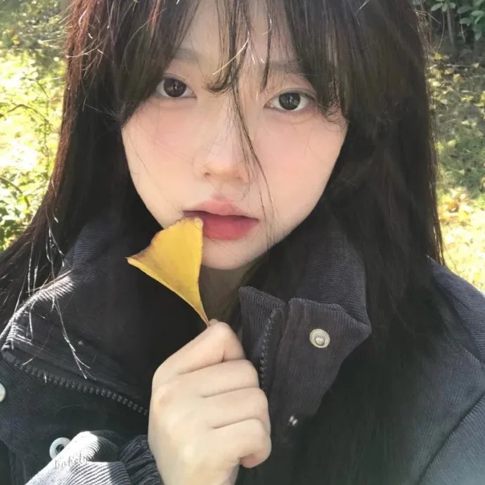 花仙子森林寻友记